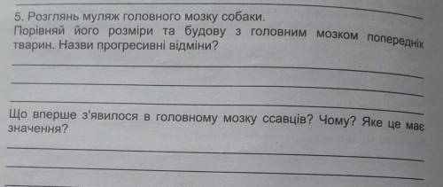 Попередні тварини: ящірка, жаба, птахи,​