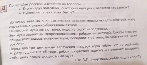 Прочитайте рассказ и ответьте на вопросы ​