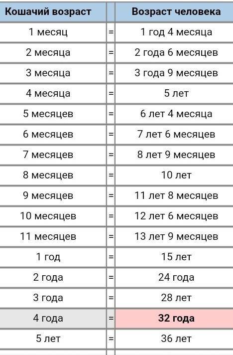 Сколько лет у кошек в одном году?​