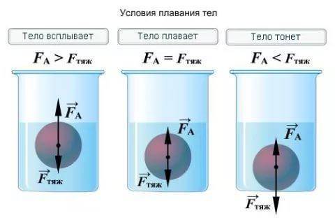 Запиши условия плаванья тел в жидкости(словами и формулу) (три случая)​