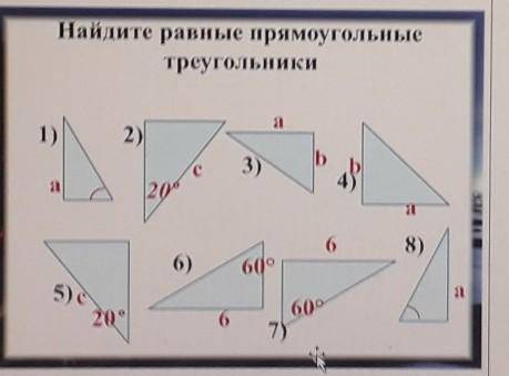 Найдите равные прямоугольныетреугольники​