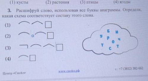 3. Расшифруй слово, использовав все буквы анаграммы. Определи, какая схема соответствует составу это