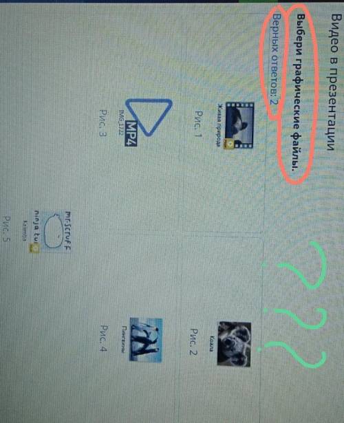 Видео в презентации. Выбери графические файлы.верных ответа: 2 по информатике ОНЛАЙН МЕКТЕП 4класс.