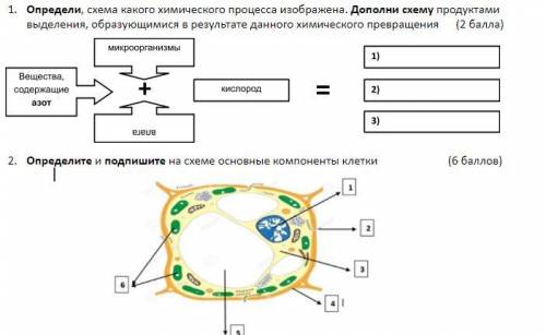 Определи, схема какого химического процесса изображена. Дополни схему продуктами выделения, образующ