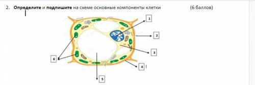 Определи, схема какого химического процесса изображена. Дополни схему продуктами выделения, образующ