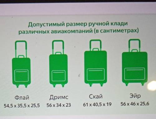 Марина собирается лететь в отпуск и хочет сэкономить на билете. Билет на самолёт, включающий провоз