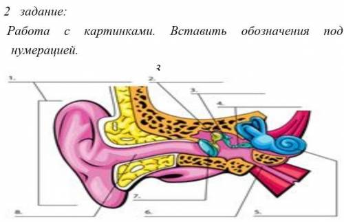 2 задание: Работа с картинками. Вставить обозначения под нумерацией.3 ​