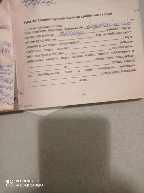 до 11:00 (киевское время)) 1) Особливості опорно-рухової системи: Кільчасті черви(малощетинкові, баг