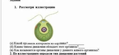 Рассмотри иллюстрацию а)какой организм изображен на рисунке б)каким типом движения обладает этот орг