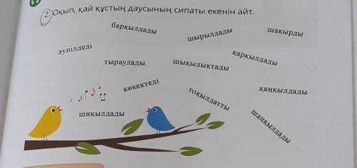 2. Оқып, қай құстың даусының сипаты екенін айт. барқылдадышақырдышырылдадыәупілдедіқарқылдадытыраула