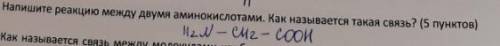 Напишите реакцию между двумя аминокислотами. Как называется такая связь?