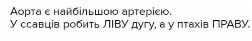 напрямок руху крові по аорті (права, ліва, дуга аорти) у птахів і ссавців