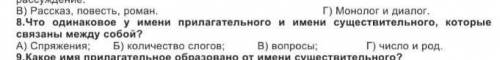 Что одинаковое у имени прилагательное и существительного которые завязаны между собой ​