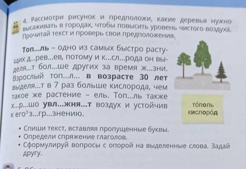 4. Рассмотри рисунок и предположи, какие деревья нужно высаживать в городах, чтобы повысить уровень