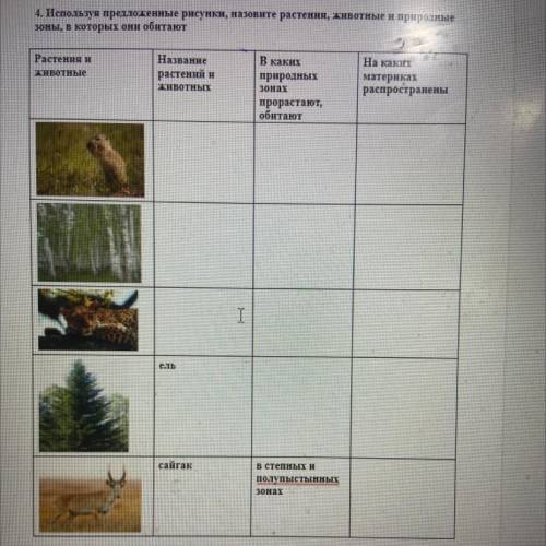 4. Используя предложенные рисунки, назовите растения, животные и природные зоны, в которых они обита