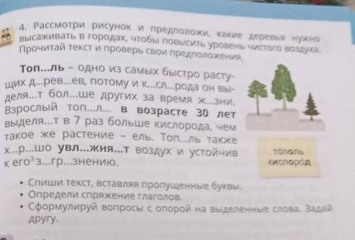 4. Рассмотри рисунок и предположи, какие деревья нужно высаживать в городах, чтобы повысить уровень