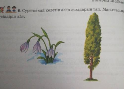 6. Суретке сай келетін өлең жолдарын тап. Мағынасынтүсіндіріп айт.​