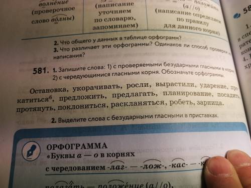 А. Ю. Купалова Русский язык задача 581 Русский язык