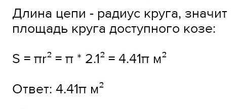 Свинья привязана цепью длиной 3,1 м. Какая площадь доступна ей?​