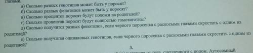 (задания прикреплены решить задачу по генетике.(Дано+решение) У кабанов круглые глаза (А) доминируют