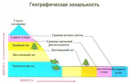 Что такое широтная зональность?ИЗОБРАЗИТЕ ЭТО ЯВЛЕНИЕ В ВИДЕ СХЕМЫ!​