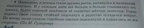 Выпиши эпитеты которые автор использует при описании подсолнуха