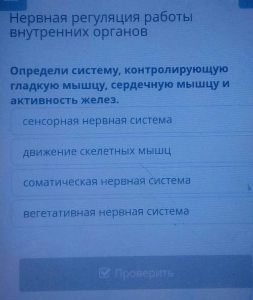 Нервная регуляция работы Внутренних органовОпредели систему, контролирующуюгладкую мышцу, сердечную