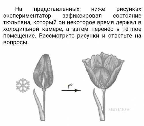 Знания в области какой ботанической науки позволяет изучить данный процесс​