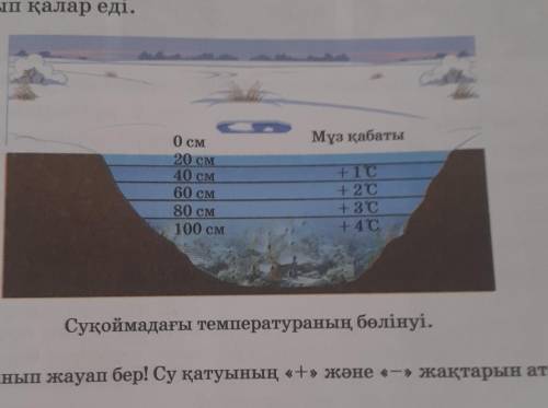 Ойланып жауап бер жаратылыс тану простите я не смогла обрезать ​