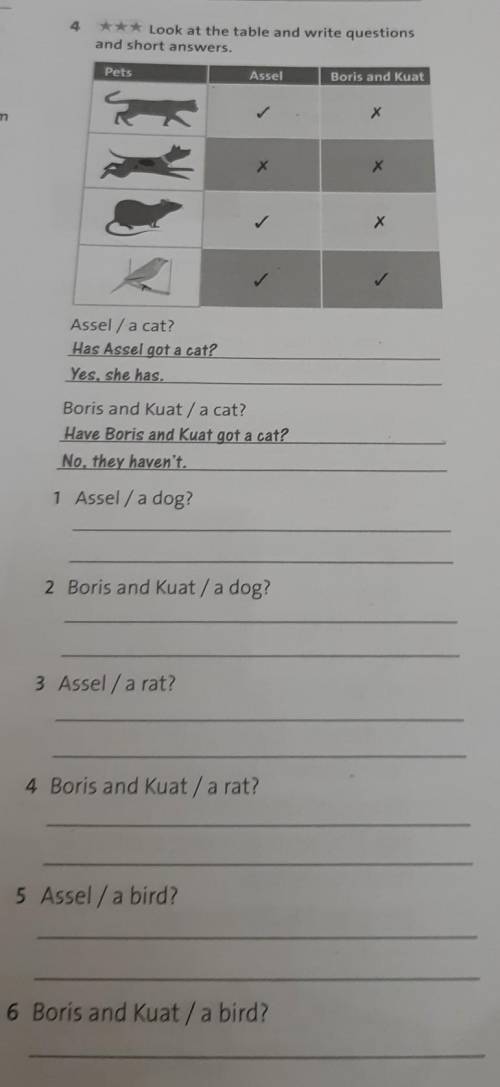 *** Look at the table and write questions and short answers.PetsAsselBoris and KuatхX2x хAssel / a c