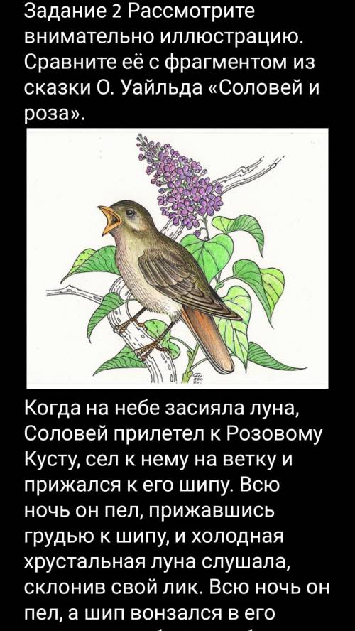 мне Задание 2 Рассмотрите внимательно иллюстрацию. Сравните её с фрагментом из сказки О. Уайльда «Со