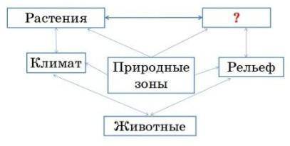 Вставь пропущенное слово. А) ПочваБ) РекаВ) Полезные ископаемыеГ) Дерево​