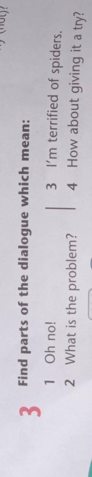3 Find parts of the dialogue which mean:1 Oh no!2 What is the problem?3 I'm terrified of spiders.4 H