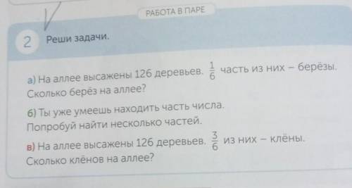 РАБОТА В ПАРЕ 2Реши задачи.16часть из них – берёзы.а) На аллее высажены 126 деревьев.Сколько берёз н