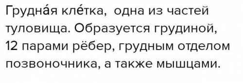 Укажите верные или неверные утверждения биомеханических особенностей строения скелета человека, связ