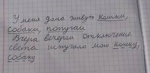 Запишите 2 предложения о своих животных, используя однородные члены предложения. Подчеркните их согл