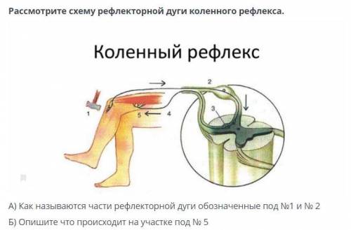 Кароче остатки балов надеюсь