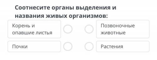 Соотнесите органы выделения и названия живых организмов: Корень и Позвоночные опавшие листья животны