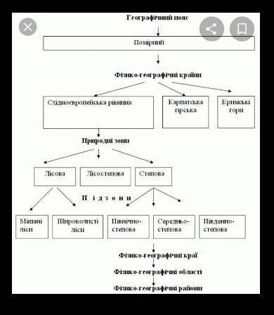 Яка з природних зон України поділяється на підзони?​