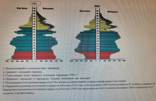 География Практическая работа Пирамиды населения России