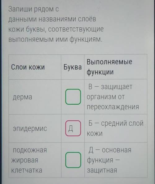 Запишите рядом с данными названиями сулоев кожа буквы соответствующие выполняемым ими функциям​