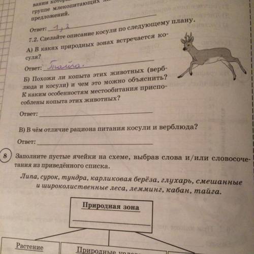 Б) Похожи ли копыта этих животных (верб- люда и косули) и чем это можно объяснить? К каким особеннос