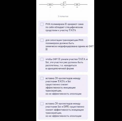 На схеме — промоторная область эукариотического гена, где отмечены участки, узнаваемые общими (базал