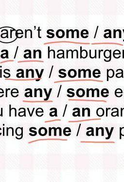 1.Circle the correct word.(5 marks) ​