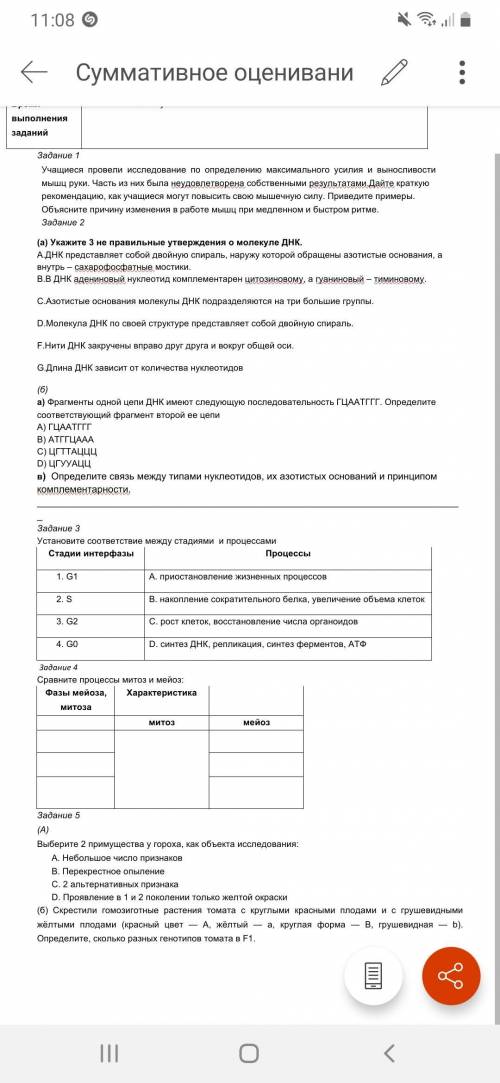 Надо быстро за 30 мин надо правильно.