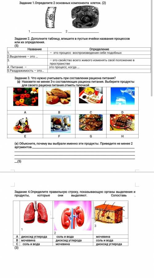 Добраго времени суток помагите мне сделать Сор!Очень важно нужно сделать сейчас!Напишите всё тчатель