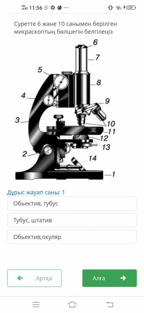 көмек кім шығарып берет 1000тг менен бұл жаратылыстану.