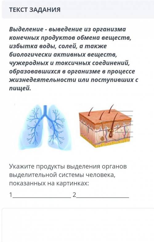 Выделение -выведение из организма конечных продуктов обмена веществ, избытка воды, солей, а также би