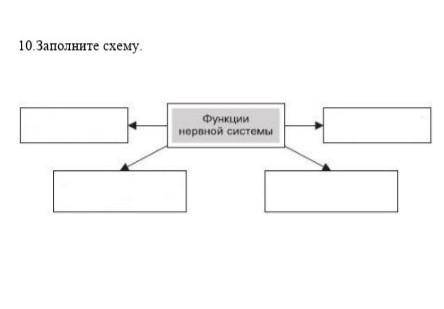 Заполните схему функции нервной системы​
