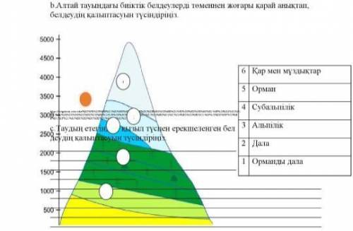 ГЕОГРАФИЯ БЖБ 3 ТОҚСАН